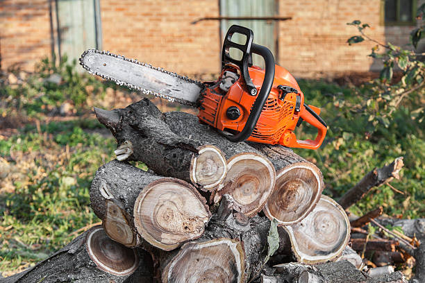  , USA Tree Service Pros